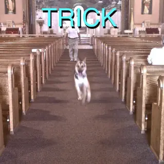 Trick